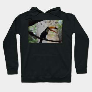 Toucan Hoodie